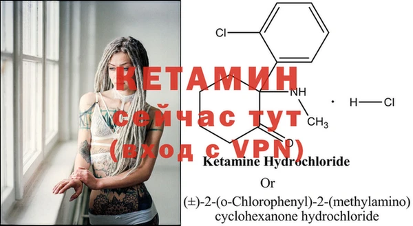 таблы Новозыбков