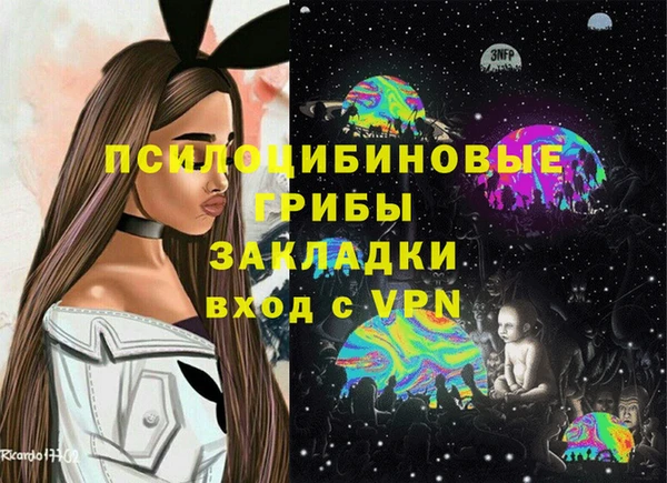 спиды Нефтекумск