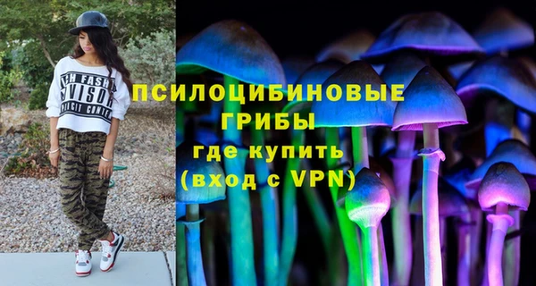 герыч Новодвинск
